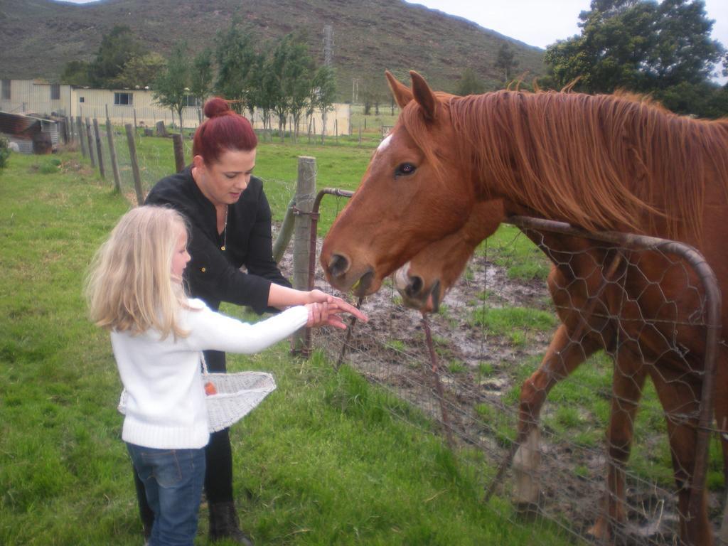 Summerhill Guest Farm Worcester Esterno foto